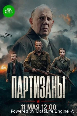 Партизаны